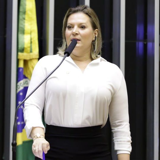 Joice Hasselmann - Najara AraujoCâmara dos Deputados Joice Hasselmann - Najara AraujoCâmara dos Deputados
